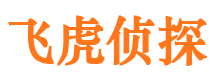 安顺市婚外情取证